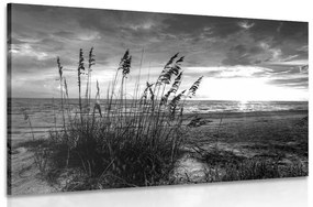 Obraz západ slnka na pláži v čiernobielom prevedení - 60x40