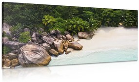 Obraz pobrežie Seychely