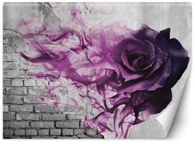 Gario Fototapeta Fialová ruža Materiál: Vliesová, Rozmery: 200 x 140 cm