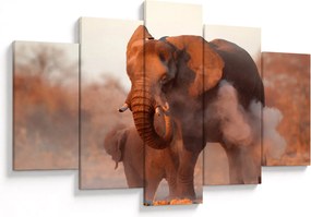 Obraz - Veľký slon africký (150x105 cm)