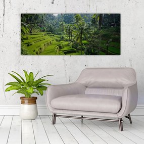 Obraz ryžových terás Tegalalang, Bali (120x50 cm)