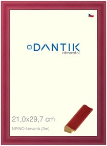 DANTIK rám na obraz 21x29,7 | NPINO červená (Sklo Čiré)