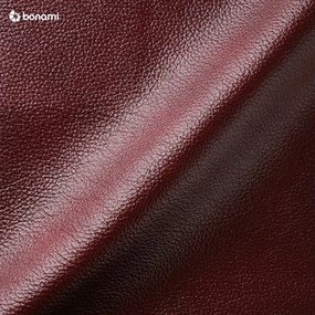 Červené kožené kreslo Max Winzer Norwin