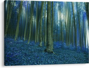 Obraz - Modrý les (70x50 cm)