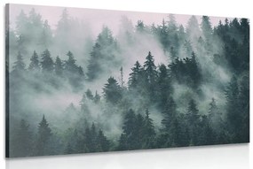 Obraz hory v hmle Varianta: 90x60