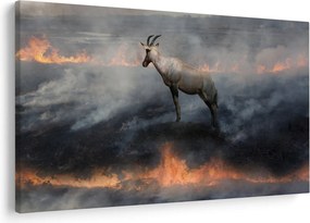 Obraz kamzíka v ohni (90x60 cm)