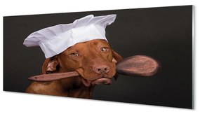 Obraz na akrylátovom skle Dog chef 120x60 cm