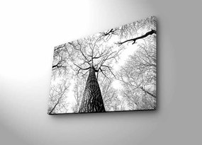 Maľba s LED osvetlením TREE ROOT 68 45 x 70 cm