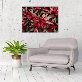 Sklenený obraz červených okvetných lístkov (70x50 cm)