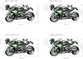 Zelená motorka textilní prelepiteľná nálepka na stenu hárok 46 x 28 cm