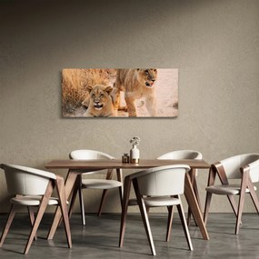 Obraz levice (120x50 cm)