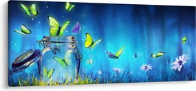Obraz - Voľnosť (120x50 cm)
