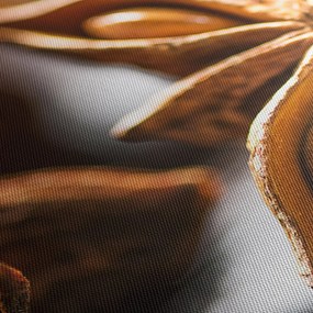 Obraz - Aníz (90x60 cm)