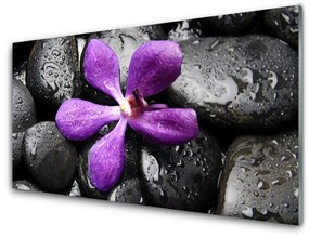 Sklenený obklad Do kuchyne Kvet kamene umenie 140x70 cm