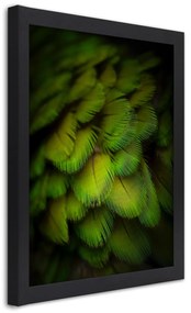 Gario Plagát Abstrakt zo zeleného peria Farba rámu: Čierna, Rozmery: 70 x 100 cm