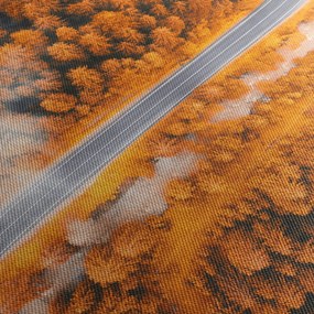 Obraz - Horská cesta (90x60 cm)