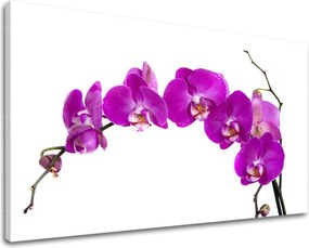 Obraz na stenu KVETY KV052E11 - 30x40 cm