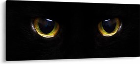 Obraz - Mačacie oči (120x50 cm)