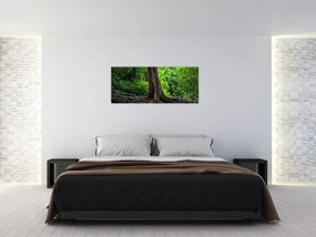 Obraz - Starý strom s koreňmi (120x50 cm)