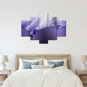 Obraz - Okvetný lístok s kvapkami (150x105 cm)