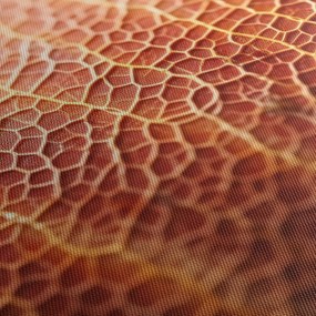 Obraz - Detail textúry (150x105 cm)