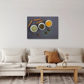 Obraz - korenie (70x50 cm)