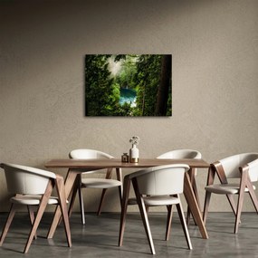 Obraz - Priezor medzi stromami (70x50 cm)