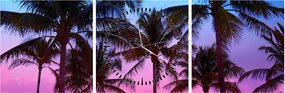 Obraz - Palmy v Miami (s hodinami) (90x30 cm)