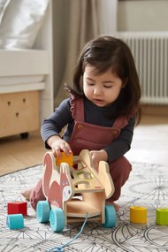 Ťahacia hračka s vkladacími tvarmi - veverička