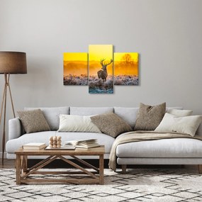 Obraz - Jeleň pri východe slnka (90x60 cm)