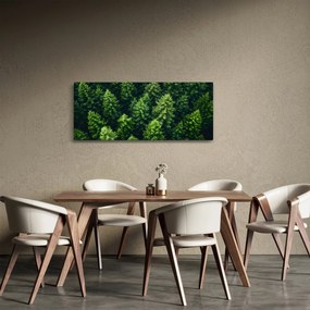 Obraz - Les (120x50 cm)