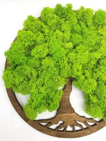 Strom na stenu z machu Cyrene 20 cm