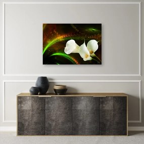 Obraz na plátně, Bílý květ na hnědém pozadí - 120x80 cm