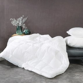 PAPLÓN SILVER 160X200 CM BIELA