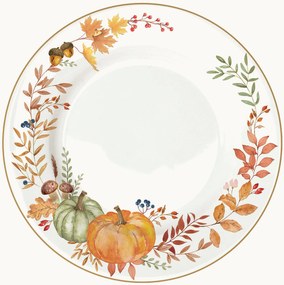 Porcelánové plytké taniere Harvest, 6 ks