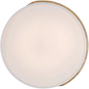 Rabalux 3527 - LED Stropné svietidlo MAPLE LED/24W/230V biela