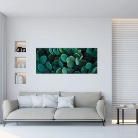 Obraz - Opuncie (120x50 cm)