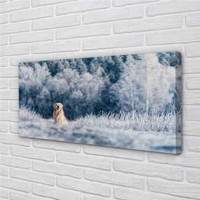 Obraz na plátne Zime salašnícky pes 100x50 cm