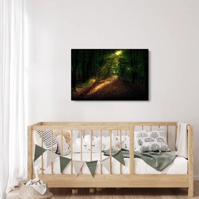 Obraz lesnej cesty (90x60 cm)