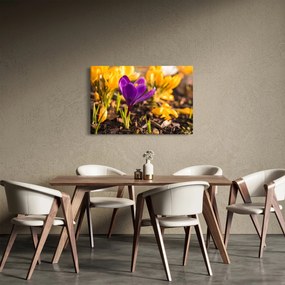 Obraz fialovej kvetiny (90x60 cm)