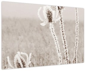Obraz - Bodliak v zime (90x60 cm)
