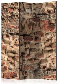 Artgeist Paraván - Ancient Wall [Room Dividers]
