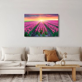 Obraz poľa tulipánov so slnkom (90x60 cm)