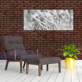 Obraz - Zasnežené vetvy (120x50 cm)