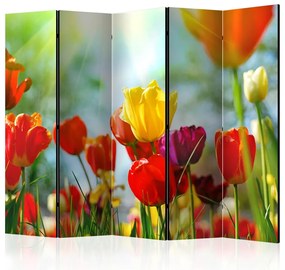 Artgeist Paraván - Spring Tulips II [Room Dividers]