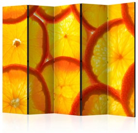 Artgeist Paraván - Orange slices [Room Dividers]