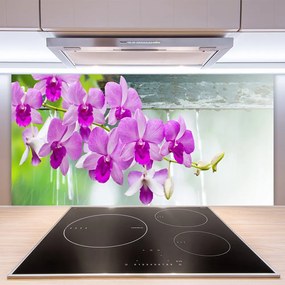 Sklenený obklad Do kuchyne Orchidey kvapky príroda 125x50 cm