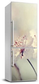 Samolepiace nálepka na chladničku Kvety višne FridgeStick-70x190-f-102906126