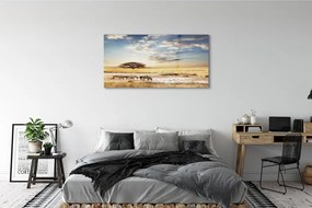 Obraz plexi Zebra mraky strom 125x50 cm