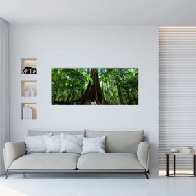 Obraz - Korene stromu (120x50 cm)